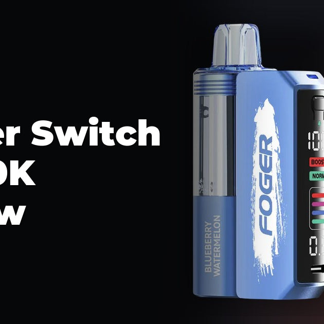 Fogger Switch Pro 30K Review at NicDelivery