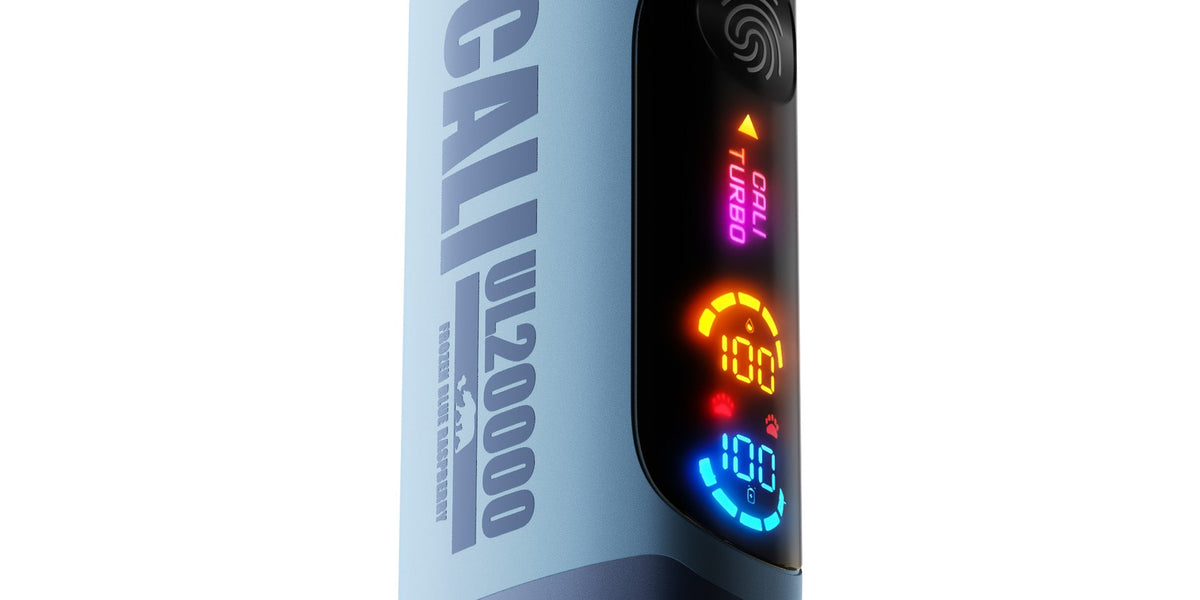 Frozen Blue Raspberry Cali UL20000 Disposable Vape — NicDelivery